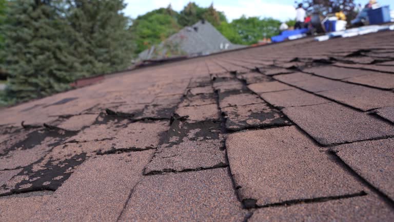 Best Solar Panel Roofing Installation  in Overton, TX