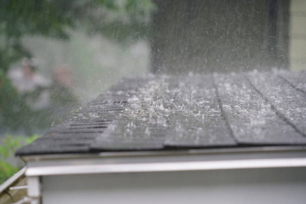 Best Roof Leak Repair  in Overton, TX