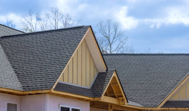 Best Skylights  in Overton, TX