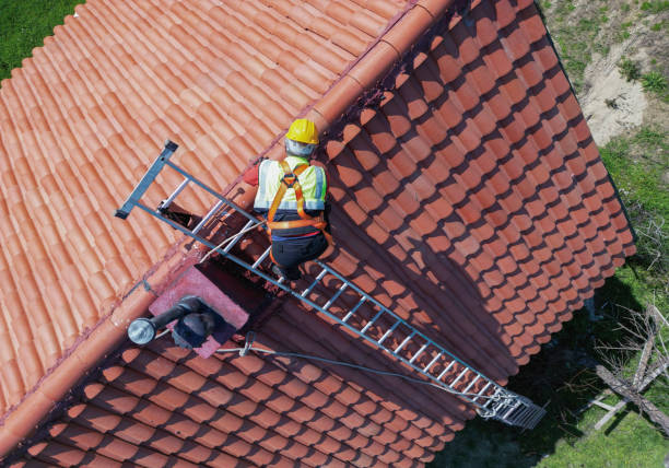 Best Skylight Installation and Repair  in Overton, TX