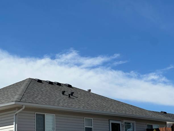 Best Asphalt Shingle Roofing  in Overton, TX